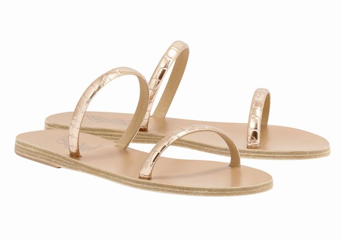 Rose Gold Women Ancient Greek Sandals Echidna Slide Sandals | ZXD8742XG