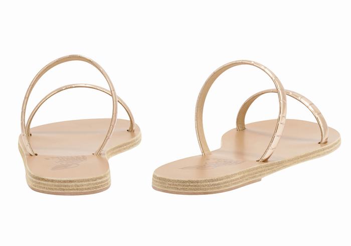 Rose Gold Women Ancient Greek Sandals Echidna Slide Sandals | ZXD8742XG