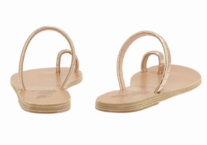 Rose Gold Women Ancient Greek Sandals Ophion Toe-Post Sandals | ECP3321HD