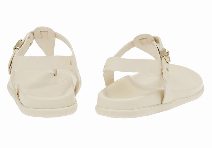 White Women Ancient Greek Sandals Alki Flip Flop Back-Strap Sandals | ZXZ769KO