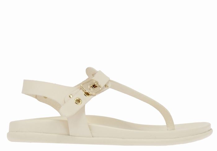 White Women Ancient Greek Sandals Alki Flip Flop Back-Strap Sandals | ZXZ769KO