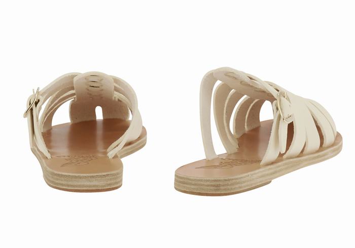 White Women Ancient Greek Sandals Cosmia Fisherman Sandals | BCX5859IC