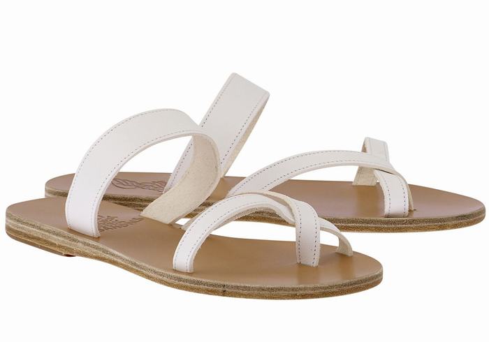 White Women Ancient Greek Sandals Daphnae Leather Slide Sandals | NDF4845TW