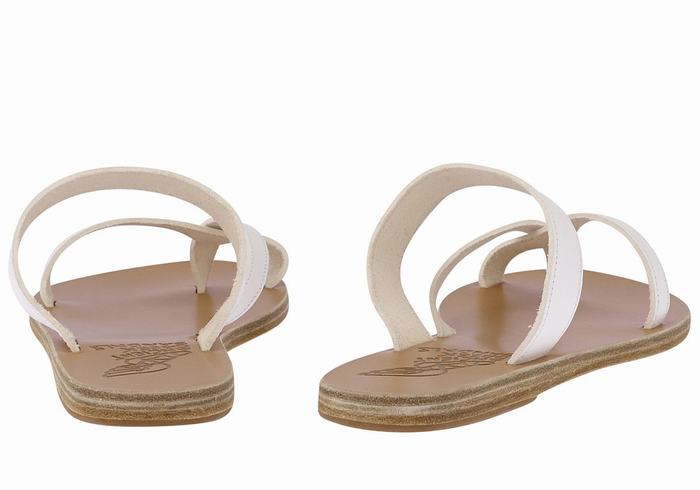 White Women Ancient Greek Sandals Daphnae Leather Slide Sandals | NDF4845TW