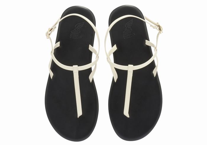 White Women Ancient Greek Sandals Lito Flip Flop Back-Strap Sandals | DDM7489TA