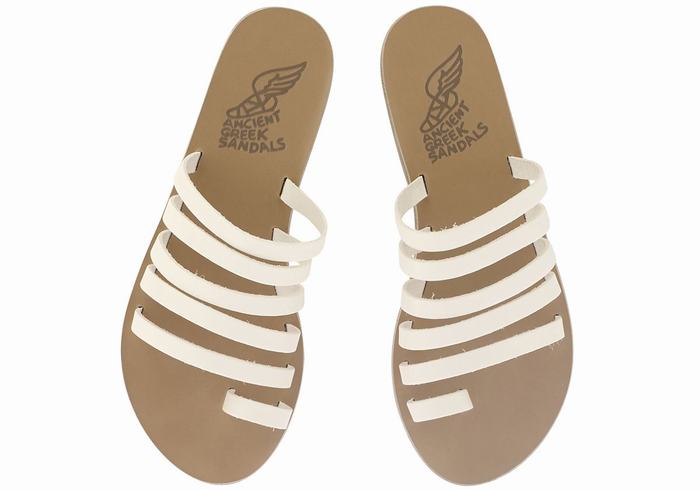 White Women Ancient Greek Sandals Niki Leather Toe-Post Sandals | TLQ1650VB