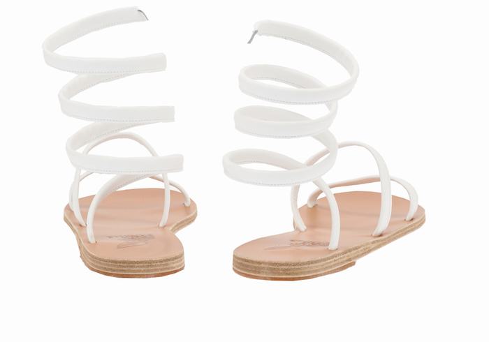 White Women Ancient Greek Sandals Ofis Gladiator Sandals | WYH815SE