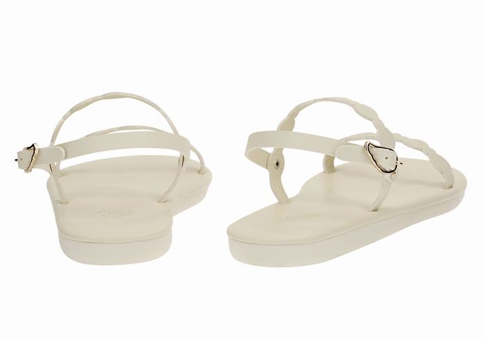 White Women Ancient Greek Sandals Orion Back-Strap Sandals | OTZ7235PY