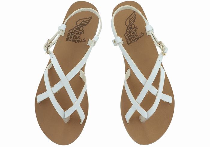 White Women Ancient Greek Sandals Semele Leather Back-Strap Sandals | BVU6620NN